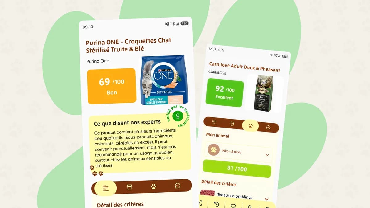 Screenshot of Pawka